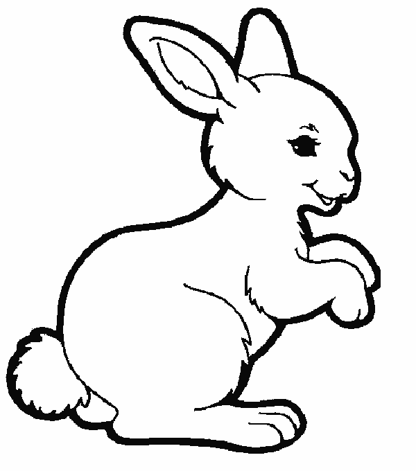 Раскраска: кролик (Животные) #9505 - Бесплатные раскраски для печати