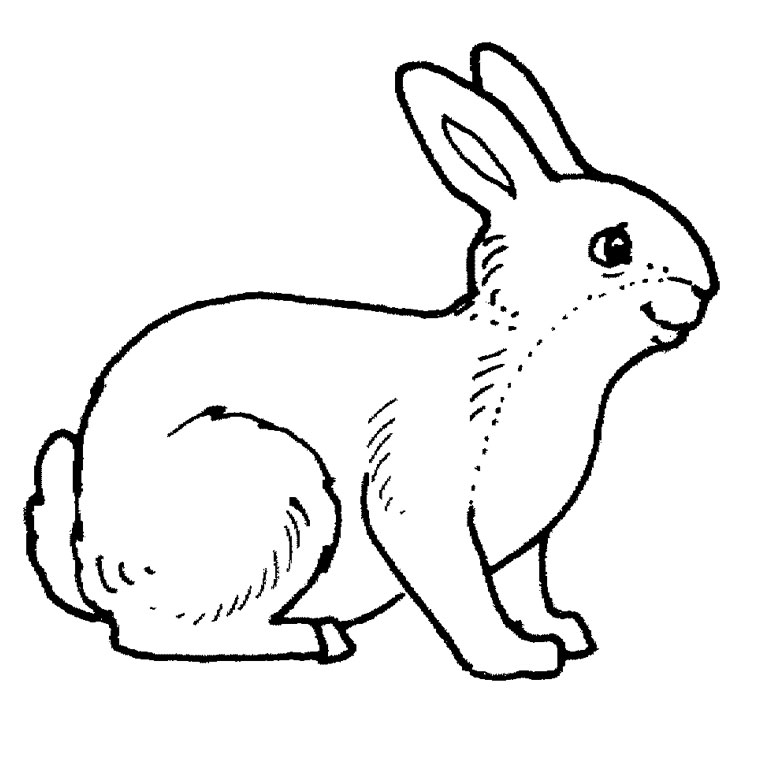 Раскраска: кролик (Животные) #9506 - Бесплатные раскраски для печати