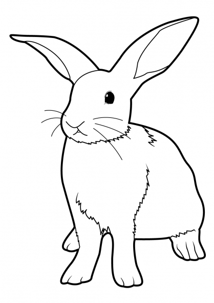Раскраска: кролик (Животные) #9520 - Бесплатные раскраски для печати
