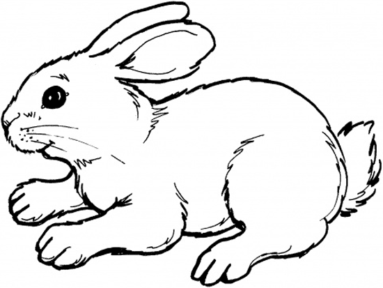Раскраска: кролик (Животные) #9526 - Бесплатные раскраски для печати