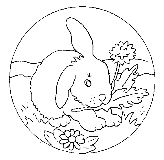 Раскраска: кролик (Животные) #9536 - Бесплатные раскраски для печати