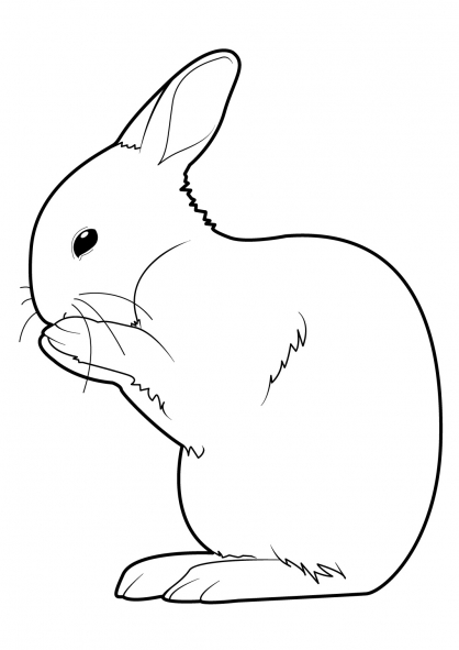 Раскраска: кролик (Животные) #9554 - Бесплатные раскраски для печати
