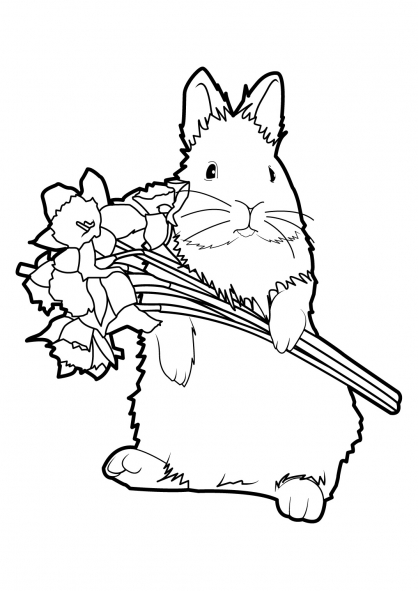Раскраска: кролик (Животные) #9575 - Бесплатные раскраски для печати