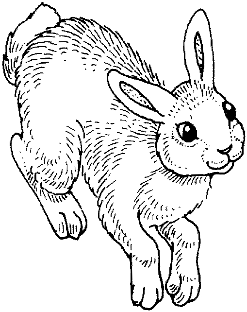 Раскраска: кролик (Животные) #9581 - Бесплатные раскраски для печати