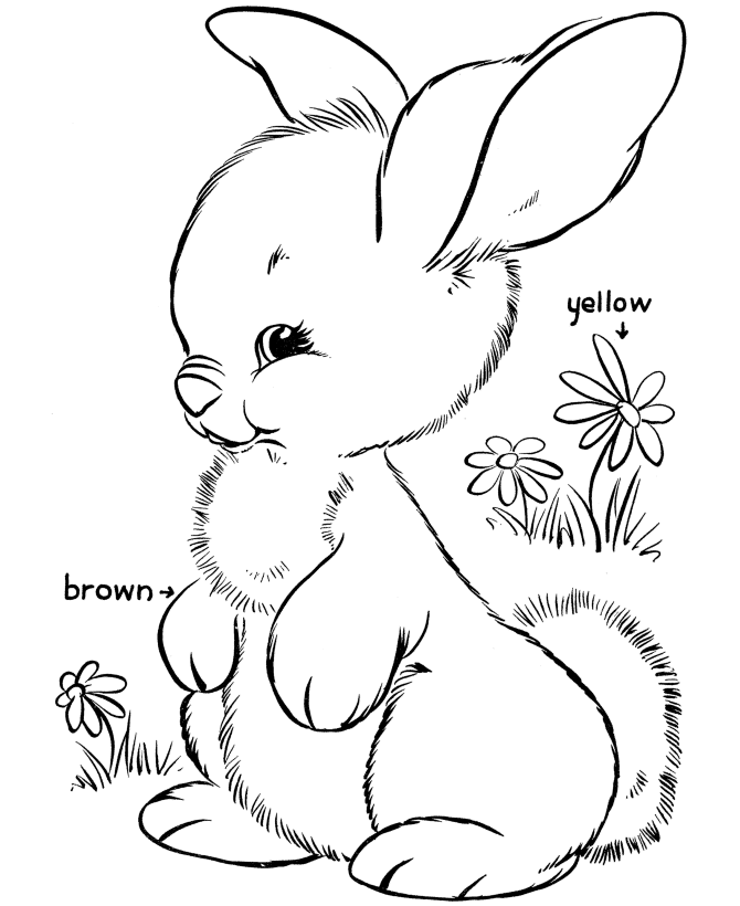 Раскраска: кролик (Животные) #9621 - Бесплатные раскраски для печати