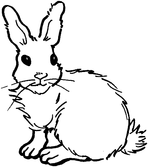 Раскраска: кролик (Животные) #9625 - Бесплатные раскраски для печати