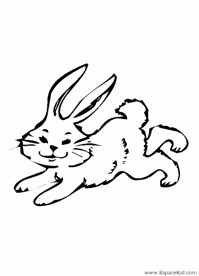 Раскраска: кролик (Животные) #9646 - Бесплатные раскраски для печати