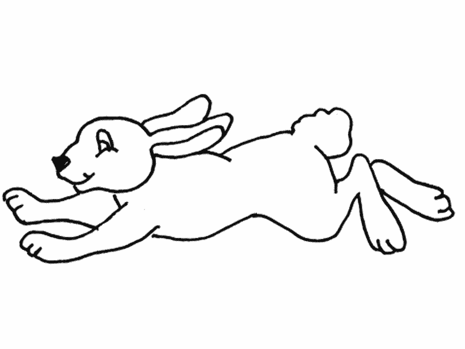 Раскраска: кролик (Животные) #9677 - Бесплатные раскраски для печати