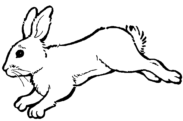 Раскраска: кролик (Животные) #9702 - Бесплатные раскраски для печати