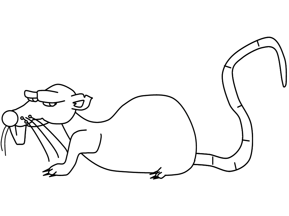 Раскраска: крыса (Животные) #15176 - Бесплатные раскраски для печати