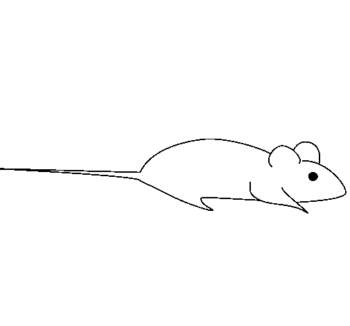 Раскраска: крыса (Животные) #15187 - Бесплатные раскраски для печати