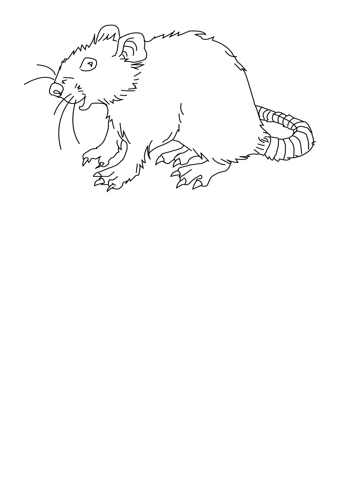 Раскраска: крыса (Животные) #15215 - Бесплатные раскраски для печати