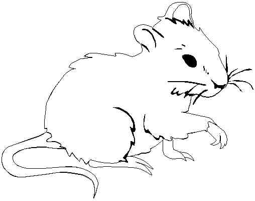 Раскраска: крыса (Животные) #15249 - Бесплатные раскраски для печати