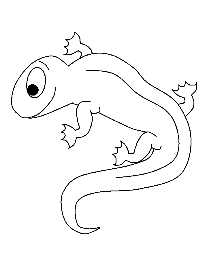 Раскраска: саламандра (Животные) #19906 - Бесплатные раскраски для печати