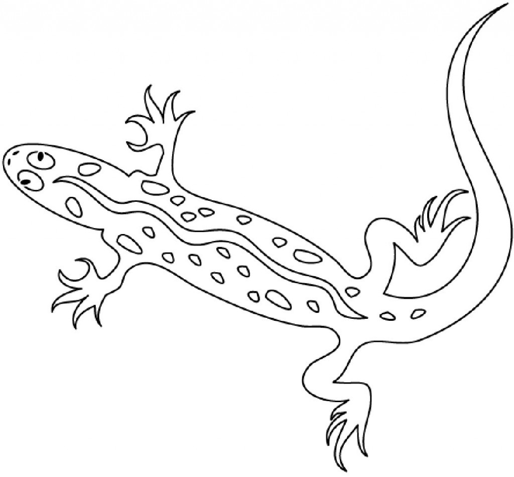 Раскраска: саламандра (Животные) #19930 - Бесплатные раскраски для печати
