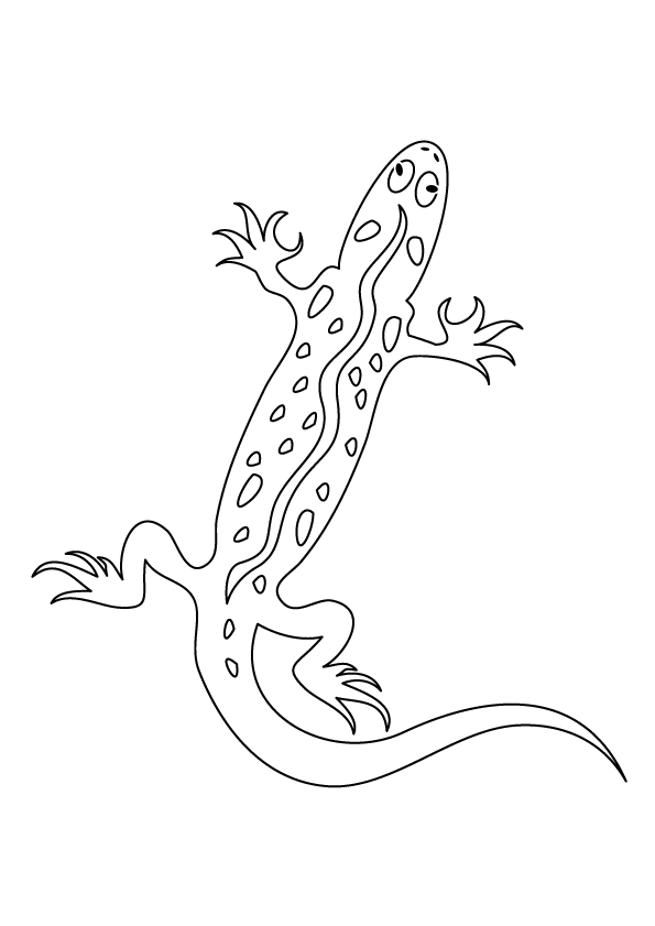 Раскраска: саламандра (Животные) #19946 - Бесплатные раскраски для печати