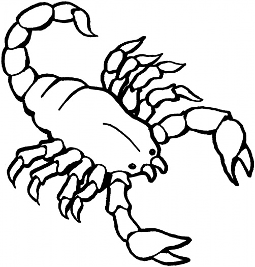 Раскраска: Скорпион (Животные) #14549 - Бесплатные раскраски для печати