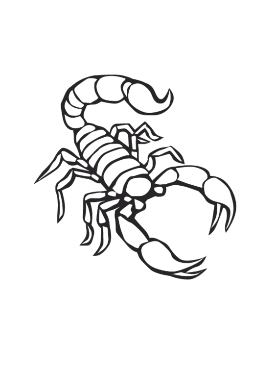 Раскраска: Скорпион (Животные) #14552 - Бесплатные раскраски для печати
