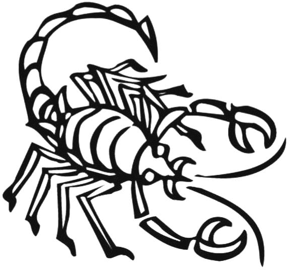 Раскраска: Скорпион (Животные) #14555 - Бесплатные раскраски для печати