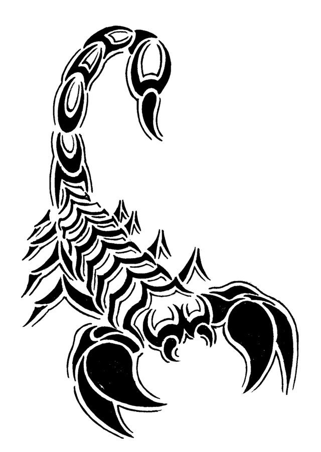 Раскраска: Скорпион (Животные) #14576 - Бесплатные раскраски для печати
