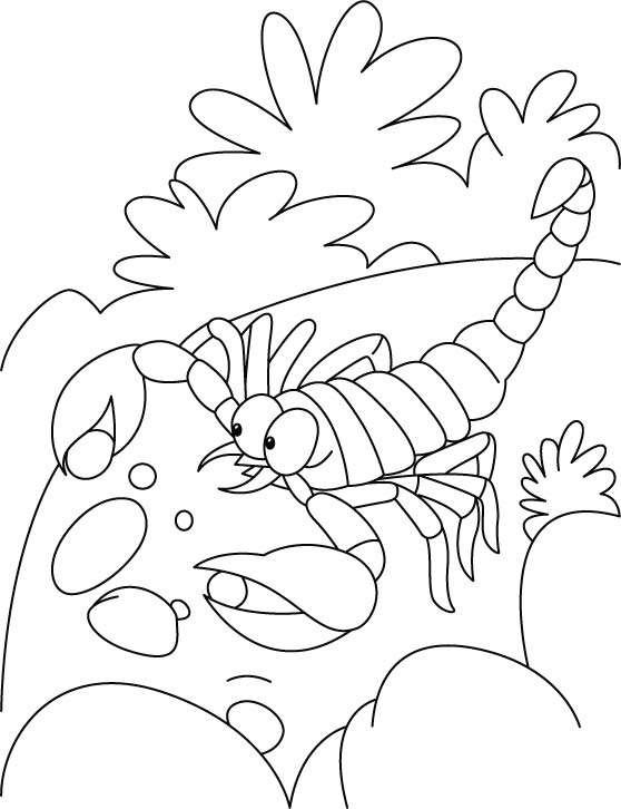 Раскраска: Скорпион (Животные) #14593 - Бесплатные раскраски для печати