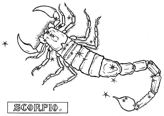 Раскраска: Скорпион (Животные) #14596 - Бесплатные раскраски для печати