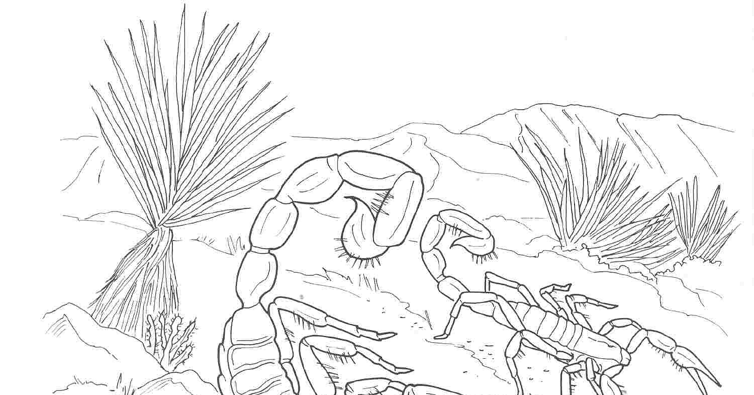 Раскраска: Скорпион (Животные) #14597 - Бесплатные раскраски для печати