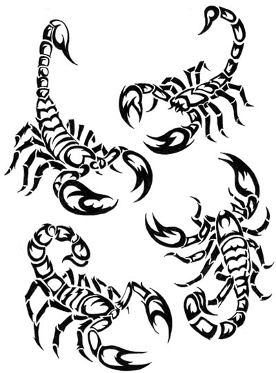 Раскраска: Скорпион (Животные) #14609 - Бесплатные раскраски для печати