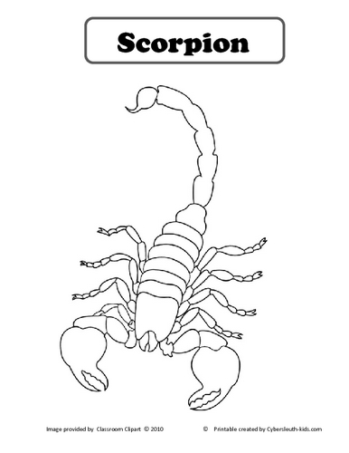 Раскраска: Скорпион (Животные) #14610 - Бесплатные раскраски для печати
