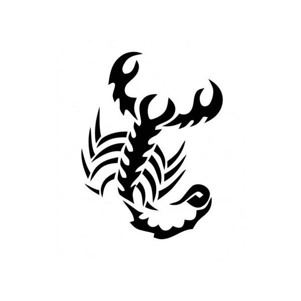 Раскраска: Скорпион (Животные) #14618 - Бесплатные раскраски для печати