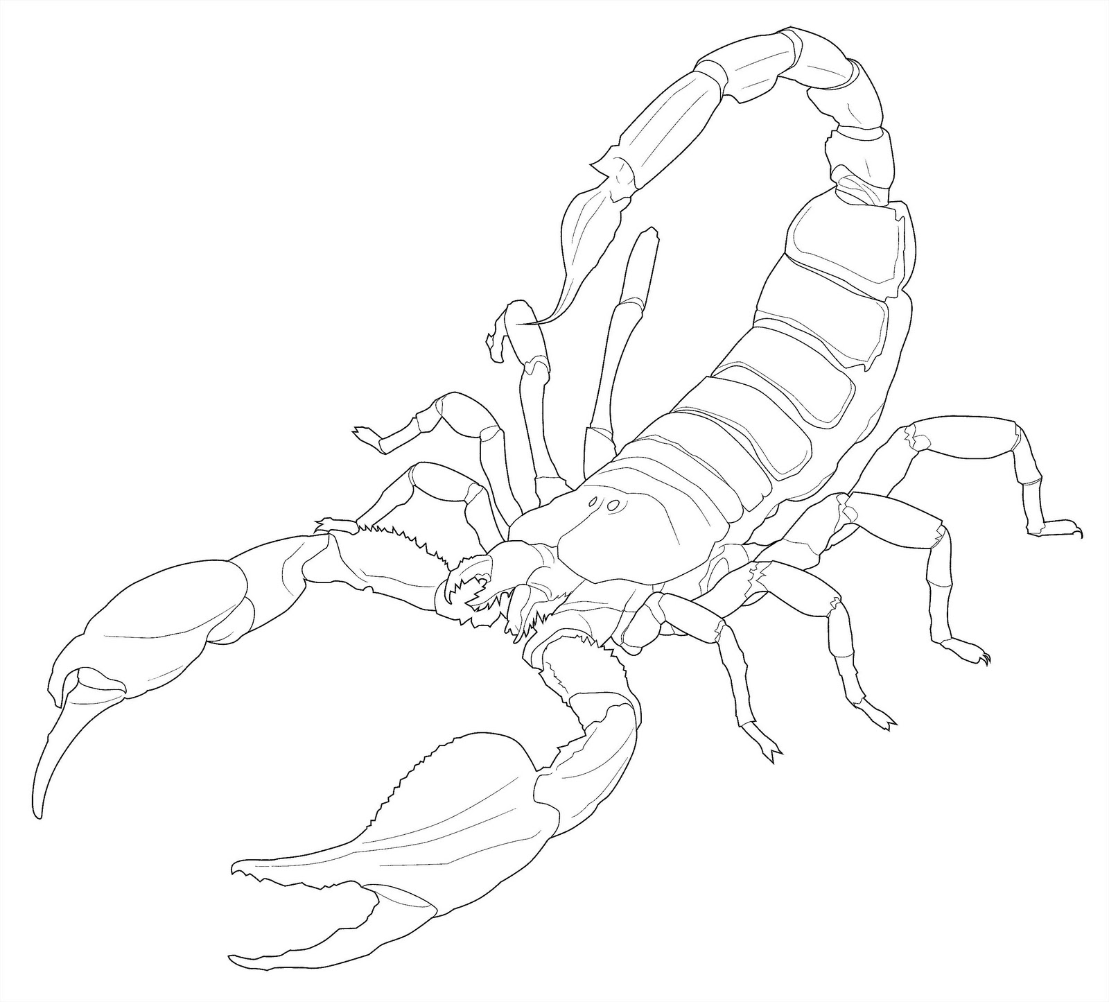 Раскраска: Скорпион (Животные) #14624 - Бесплатные раскраски для печати