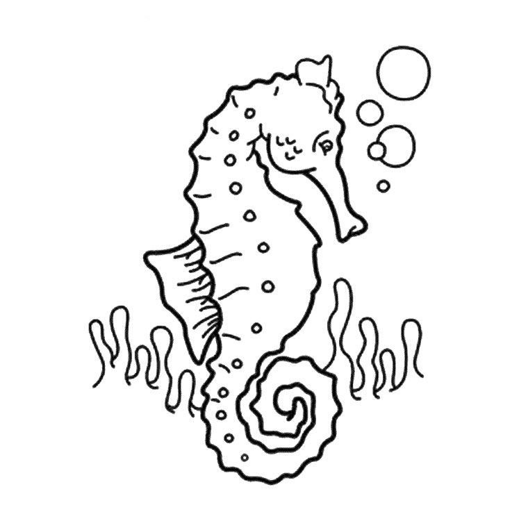 Раскраска: морской конек (Животные) #18587 - Бесплатные раскраски для печати