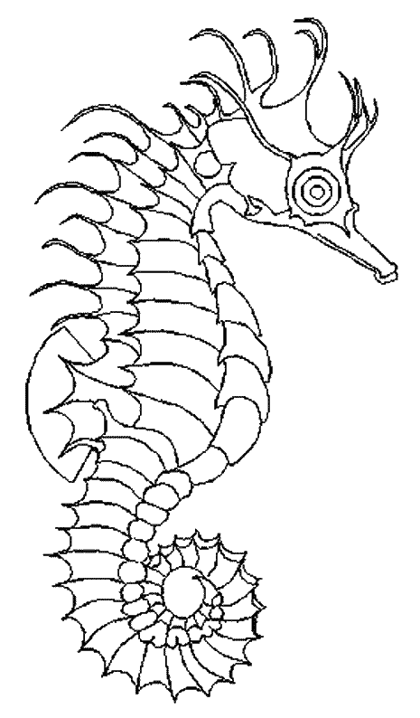 Раскраска: морской конек (Животные) #18601 - Бесплатные раскраски для печати
