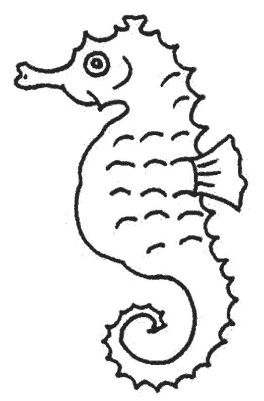 Раскраска: морской конек (Животные) #18608 - Бесплатные раскраски для печати