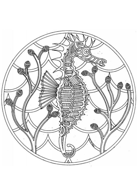 Раскраска: морской конек (Животные) #18618 - Бесплатные раскраски для печати