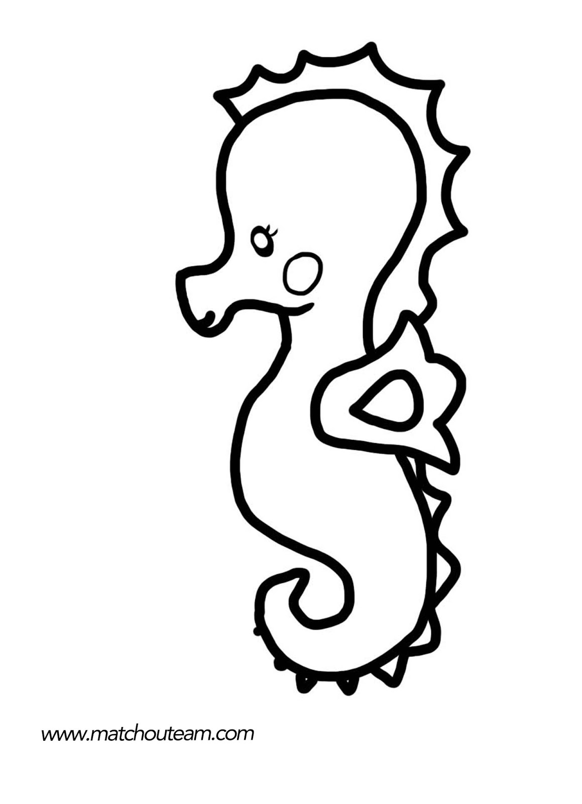 Раскраска: морской конек (Животные) #18628 - Бесплатные раскраски для печати