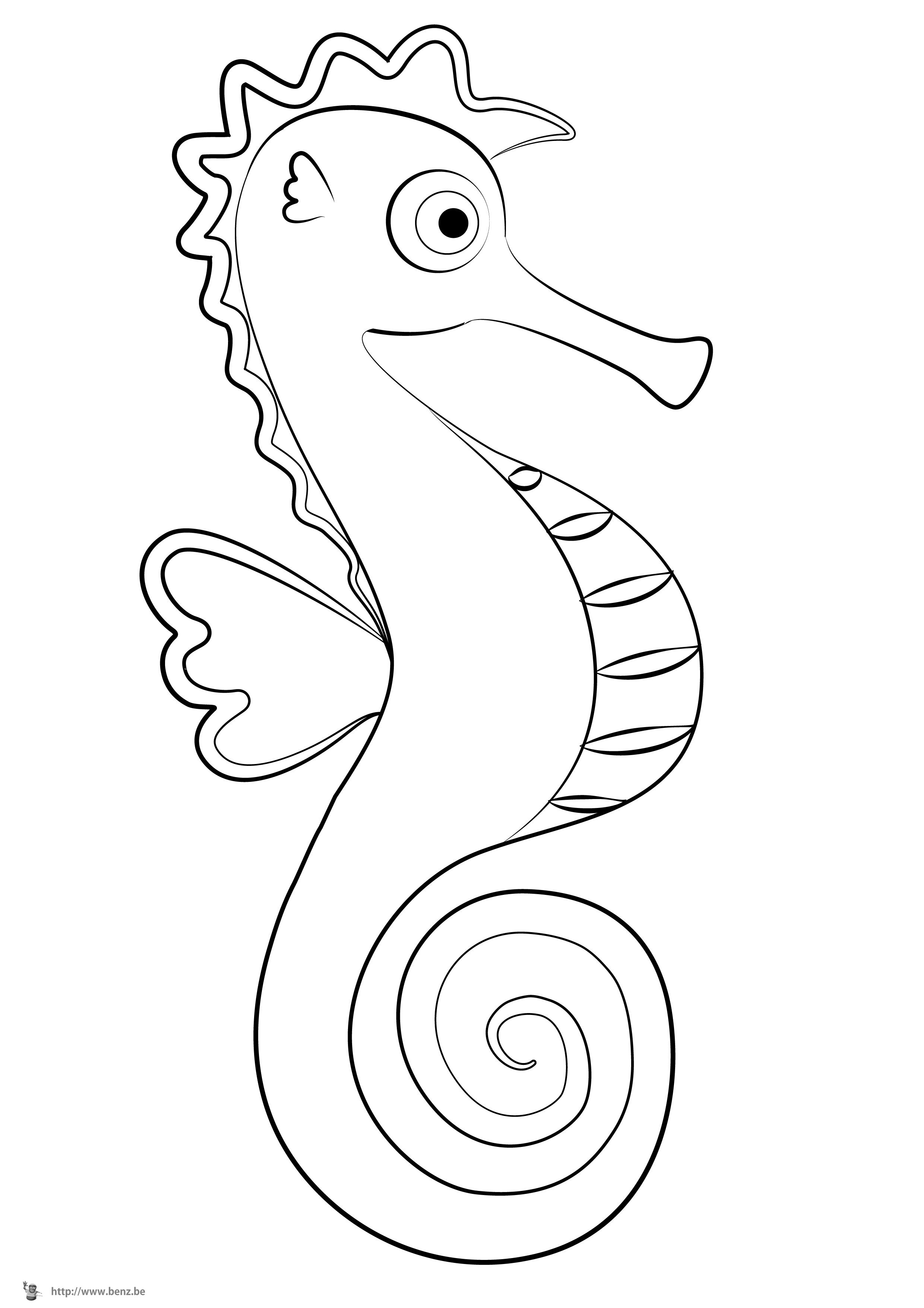 Раскраска: морской конек (Животные) #18638 - Бесплатные раскраски для печати