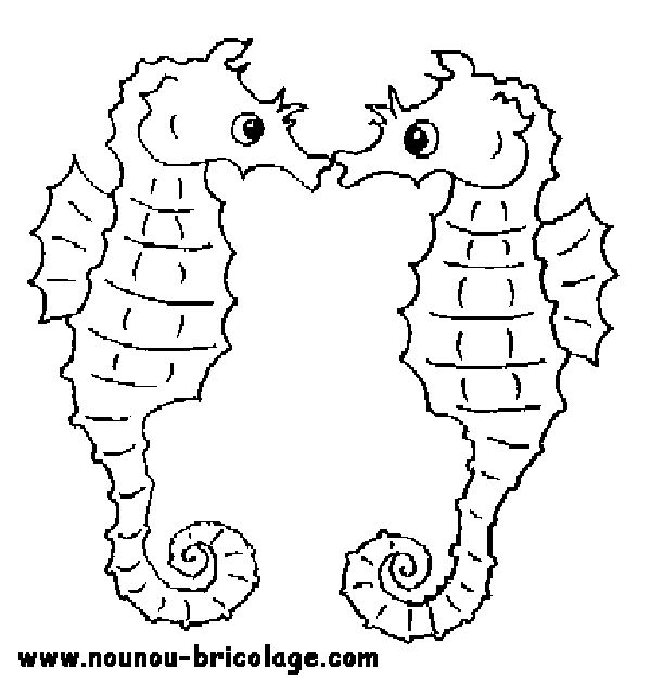 Раскраска: морской конек (Животные) #18670 - Бесплатные раскраски для печати
