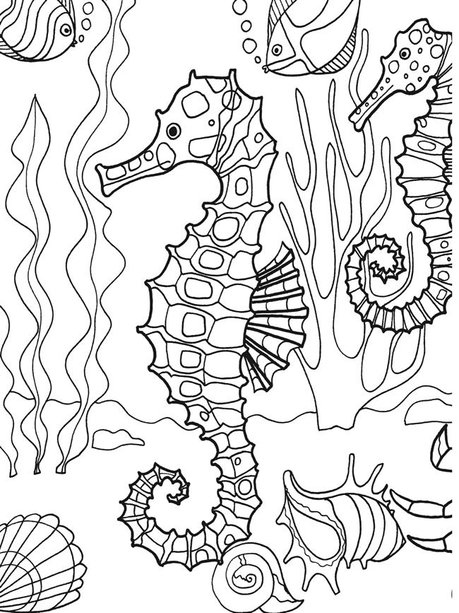Раскраска: морской конек (Животные) #18718 - Бесплатные раскраски для печати