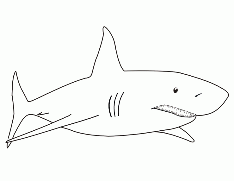 Раскраска: акула (Животные) #14766 - Бесплатные раскраски для печати