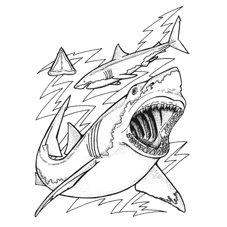 Раскраска: акула (Животные) #14769 - Бесплатные раскраски для печати