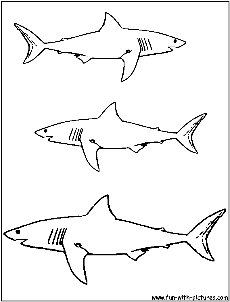 Раскраска: акула (Животные) #14776 - Бесплатные раскраски для печати