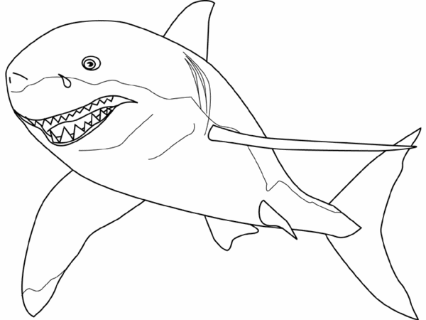 Раскраска: акула (Животные) #14780 - Бесплатные раскраски для печати