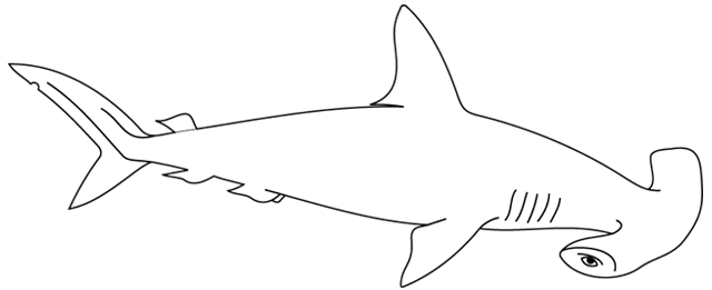 Бесплатные раскраски акулы для детей (новое обновление)