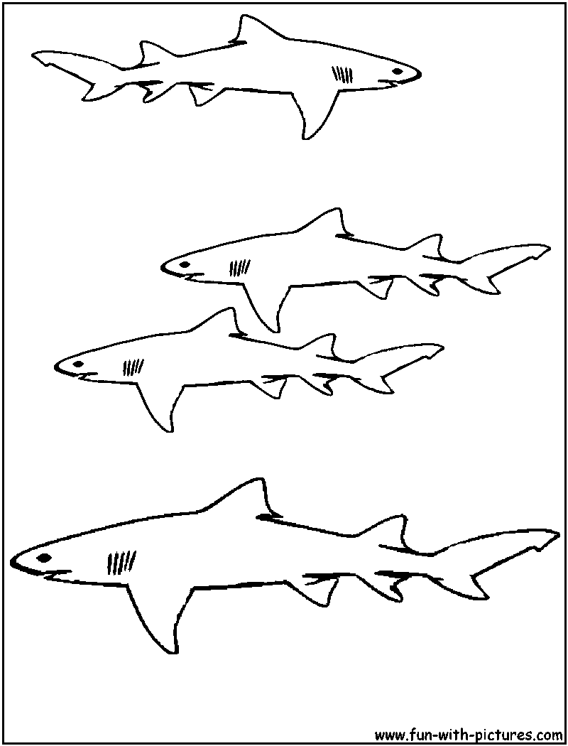 Раскраска: акула (Животные) #14800 - Бесплатные раскраски для печати
