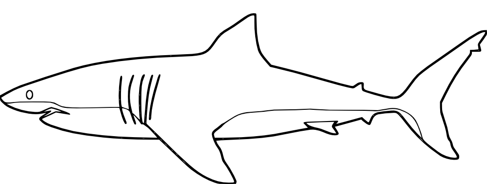 Раскраска: акула (Животные) #14809 - Бесплатные раскраски для печати