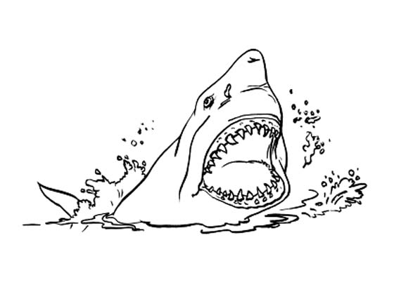 Раскраска: акула (Животные) #14835 - Бесплатные раскраски для печати
