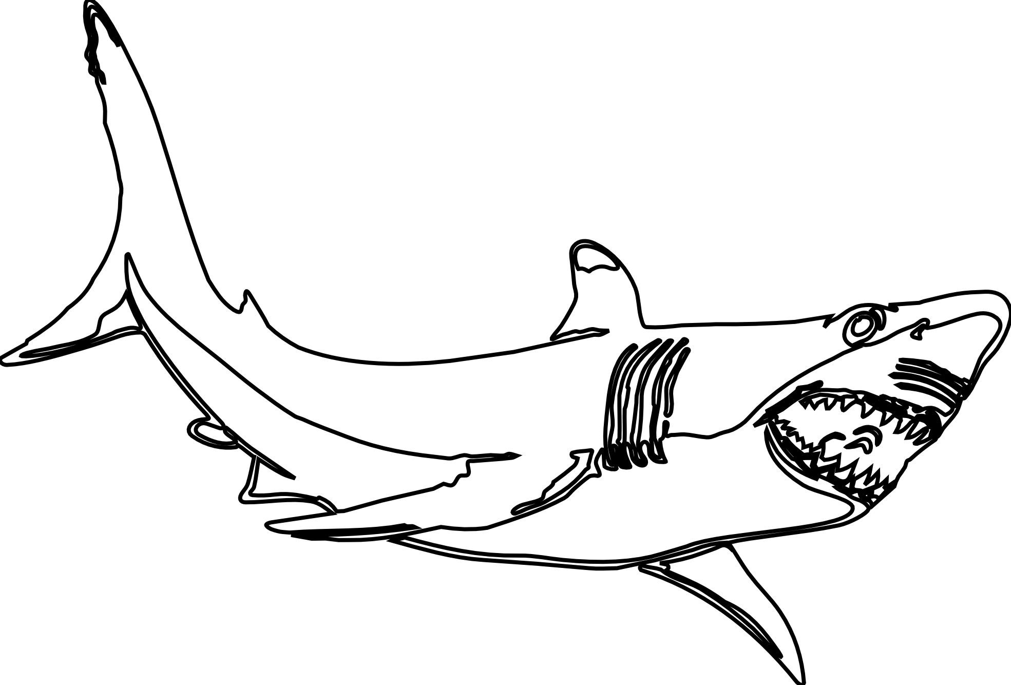 Раскраска: акула (Животные) #14837 - Бесплатные раскраски для печати