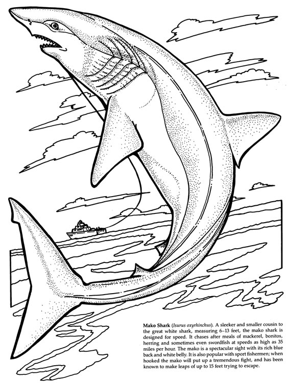 Раскраска: акула (Животные) #14839 - Бесплатные раскраски для печати