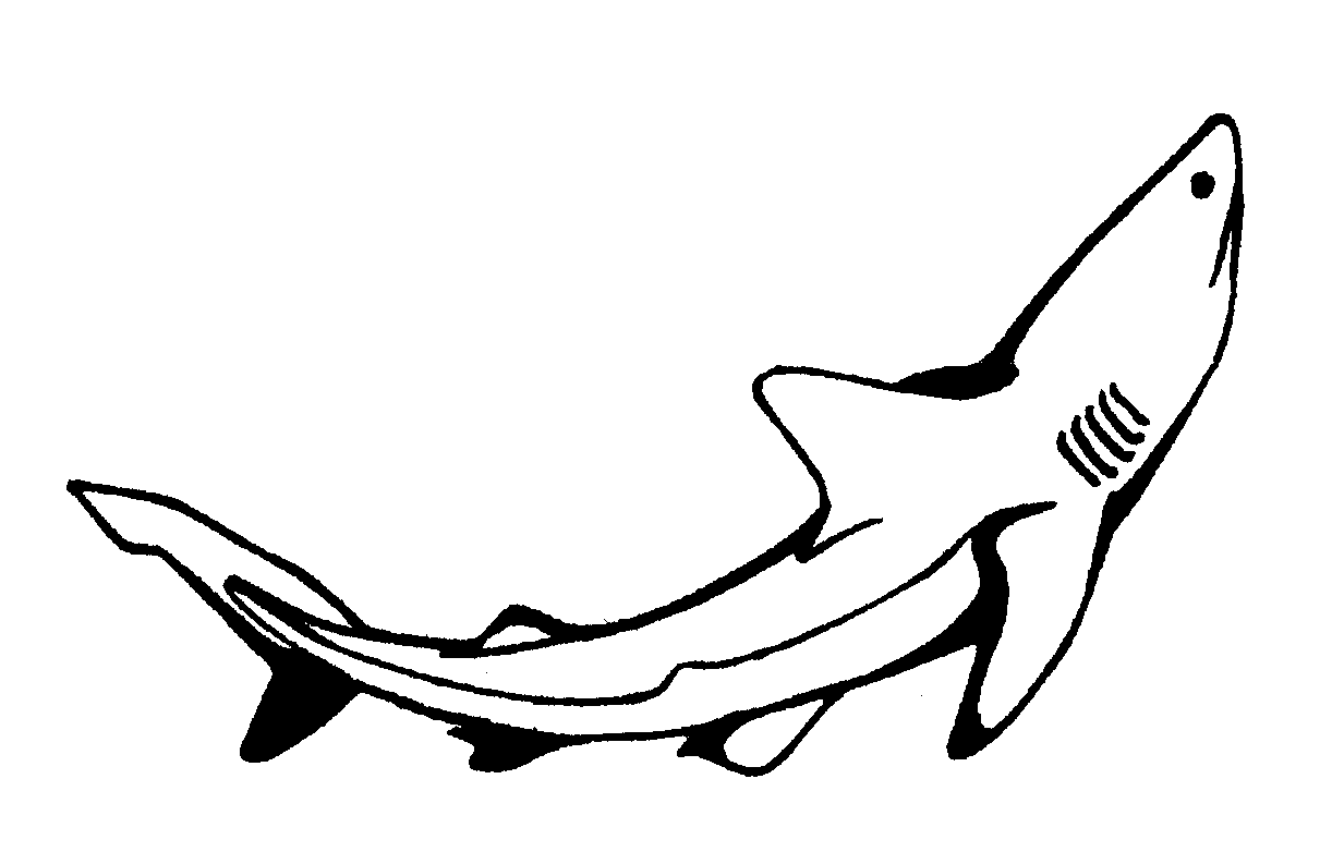 Раскраска: акула (Животные) #14849 - Бесплатные раскраски для печати